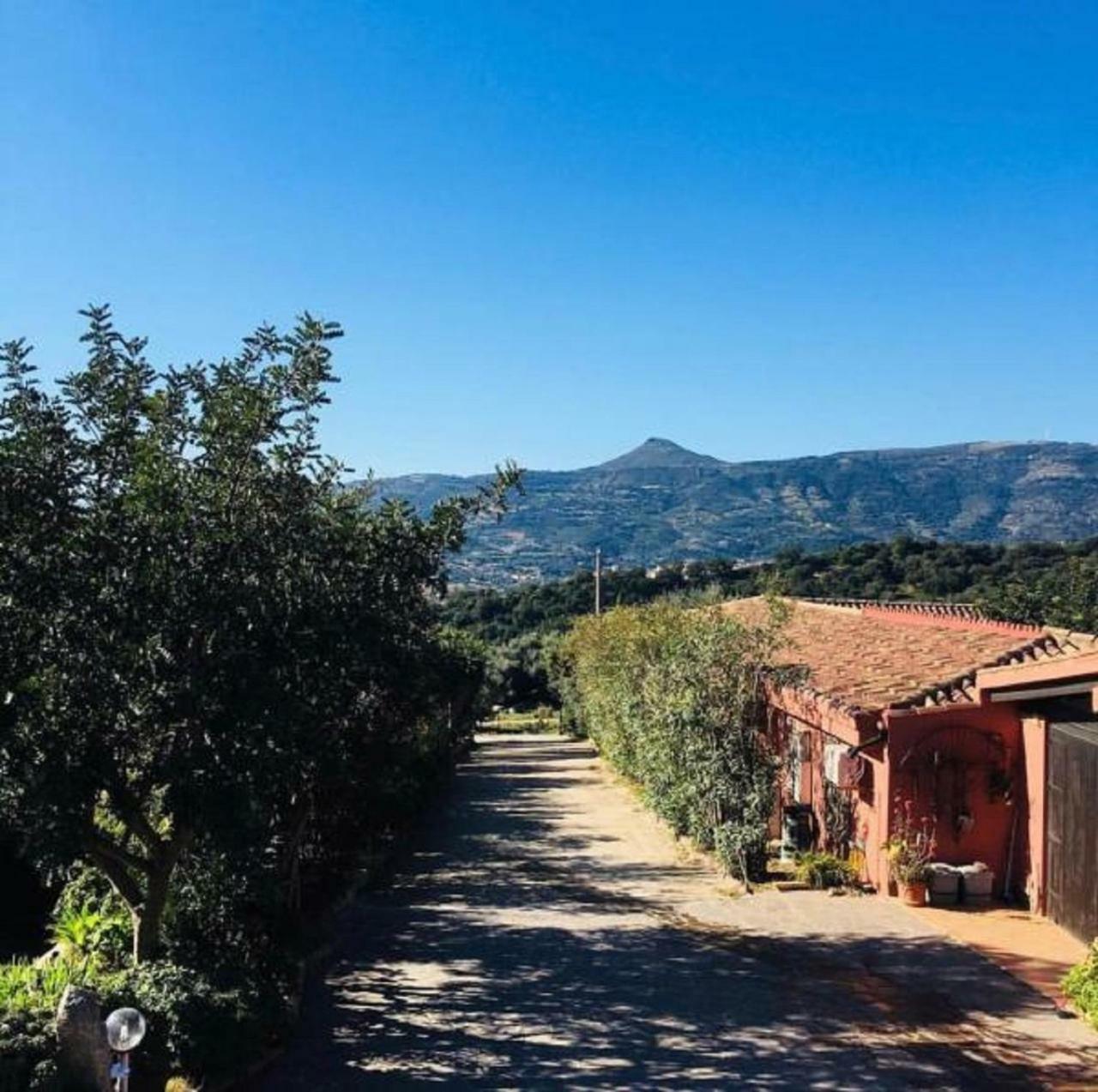 Villa Agriturismo Su Barraccu Loceri Exterior foto