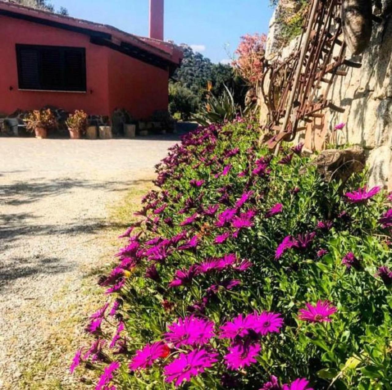 Villa Agriturismo Su Barraccu Loceri Exterior foto